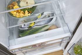 Chladnička Gorenje R619CSXL6 nerez

 obrázok produktu 20 z 21