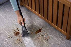 Tepovač kobercov Gorenje SWC403QAG G200 QUICKAID SPOT CLEANER biely

 obrázok produktu 16 z 21