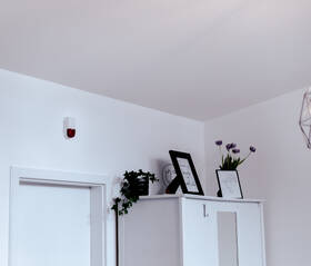 Siréna IMMAX NEO Smart ZigBee 3.0, Tuya biela/červená

 obrázok produktu 10 z 13