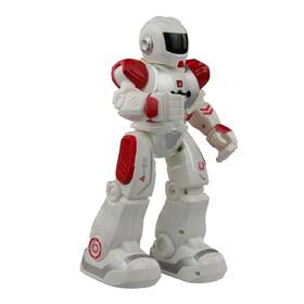 Robot MaDe Viktor 

 obrázok produktu 2 z 3