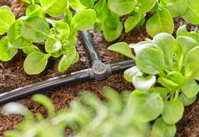 T-spojka Gardena MicroDrip System 4,6 mm (10 ks) 

 obrázok produktu 4 z 5