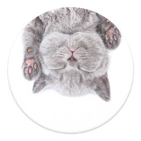 Držiak na mobil PopSockets PopGrip Gen. 2 - Cat Nap 

 obrázok produktu 1 z 7