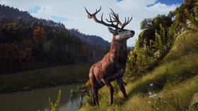 Hra THQ Nordic Way of the Hunter 

 obrázok produktu 6 z 11