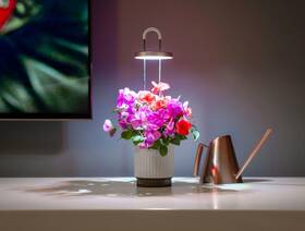 Inteligentný kvetináč Click and Grow HydroVase biely

 obrázok produktu 5 z 6