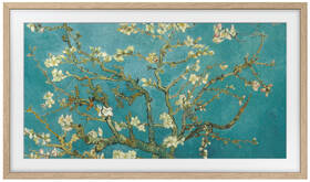 Výmenný rámček Samsung pro Frame TV s úhlopříčkou 32" (2023), Rovný design - týkový 

 obrázok produktu 1 z 5