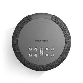 Prenosný reproduktor Audio Pro A10 MkII sivý

 obrázok produktu 1 z 6