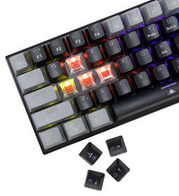 Klávesnica White Shark Wakizashi 2, Red Switch, CZ/SK layout čierna

 obrázok produktu 3 z 7