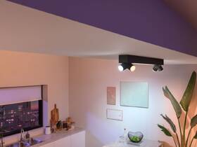 Bodové svietidlo Philips Centris White and Color Ambiance 4 Spot čierne

 obrázok produktu 3 z 5