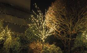 LED dekorácie EMOS svietiaci stromček, 120 cm, 600 Nano LED, vonkajšia aj vnútorná, teplá biela, časovač 

 obrázok produktu 6 z 6