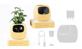 Inteligentný kvetináč Plantsio IVY generácia 2 žltý

 obrázok produktu 2 z 4