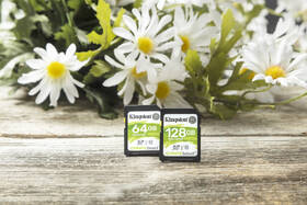 Pamäťová karta Kingston SDHC 16GB UHS-I U1 (80R/10W) 

 obrázok produktu 9 z 9