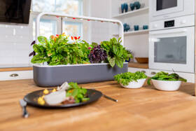 Inteligentný kvetináč Click and Grow Smart Garden 9 sivý

 obrázok produktu 2 z 4