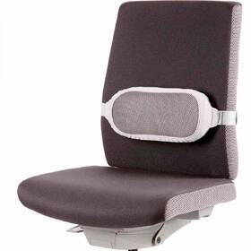 Bedrová opierka Fellowes na stoličke I-Spire sivá

 obrázok produktu 1 z 6