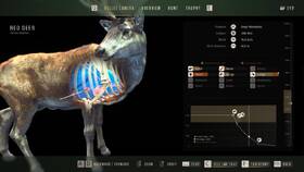 Hra THQ Nordic Way of the Hunter 

 obrázok produktu 11 z 11