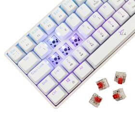 Klávesnica White Shark SHINOBI 2, CZ/SK layout, Red switch biela

 obrázok produktu 4 z 12