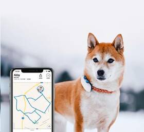 GPS lokátor Tractive DOG 4 LTE – sledování polohy a aktivity pro psy biely

 obrázok produktu 4 z 9