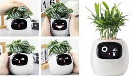 Inteligentný kvetináč Plantsio IVY biely

 obrázok produktu 3 z 5