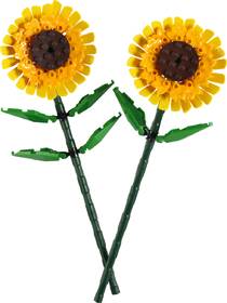 Stavebnica LEGO® Botanicals 40524 Slunečnice 

 obrázok produktu 1 z 3