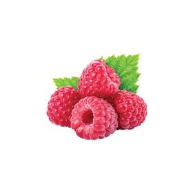 Sirup Moštěnický Sirup Malina 

 obrázok produktu 1 z 2