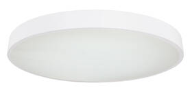 LED stropné svietidlo GLOBO Wiss, kruh, 60 cm, LED, 48W biele

 obrázok produktu 4 z 5