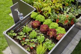 Súprava na zavlažovanie Gardena MicroDrip System 3455-20 

 obrázok produktu 2 z 5