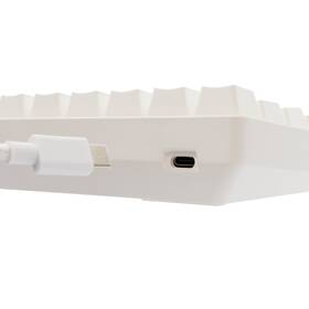 Klávesnica White Shark SHINOBI 2, CZ/SK layout, Red switch biela

 obrázok produktu 9 z 12