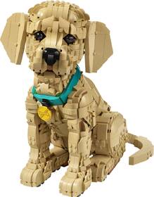 Stavebnica LEGO® Icons 11384 Štěně zlatého retrívra 

 obrázok produktu 1 z 9