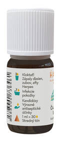 Aróma olej Hanus 10 ml 

 obrázok produktu 2 z 2