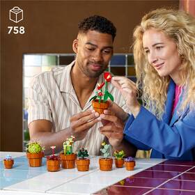 Stavebnica LEGO® Botanicals 10329 Miniaturní rostliny 

 obrázok produktu 4 z 8