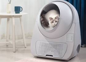 Inteligentná toaleta Catlink Scooper Young Version biely

 obrázok produktu 1 z 4