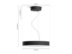 Závesné svietidlo Philips Enrave čierne

 obrázok produktu 2 z 6