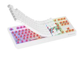 Klávesnica Genesis THOR 230, TKL, RGB, Outemu Red, bezdrôtová, US layout biela

 obrázok produktu 7 z 9