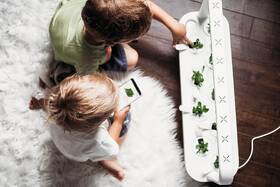Inteligentný kvetináč Click and Grow Smart Garden 9 biely

 obrázok produktu 7 z 7