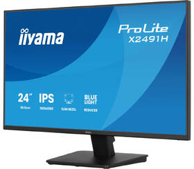 Monitor IIYAMA ProLite X2491H-B1 čierny

 obrázok produktu 2 z 9