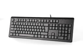 Klávesnica A4Tech KR-92, USB, CZ čierna

 obrázok produktu 2 z 4