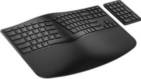 Klávesnica HP 960 Ergonomic CZ čierna

 obrázok produktu 4 z 4
