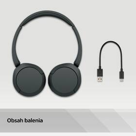 Slúchadlá Sony WH-CH520 čierna

 obrázok produktu 13 z 13