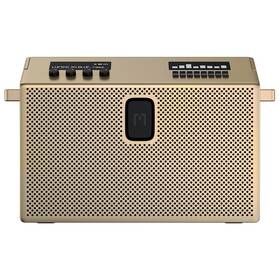 Prenosný reproduktor Mondo Speaker Large zlatý

 obrázok produktu 1 z 8