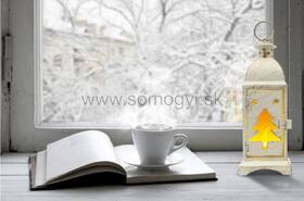 Stolná lampička SOMOGYI LTN 8/P 

 obrázok produktu 1 z 1