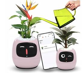 Inteligentný kvetináč Plantsio IVY ružový

 obrázok produktu 3 z 5