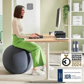 Sedacia lopta Leitz Ergo Anti-Roll Dark Grey, 55cm sivý

 obrázok produktu 1 z 10