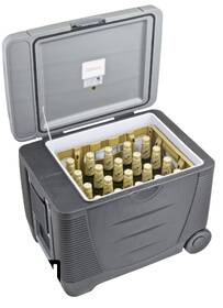 Autochladnička G21 C&W, 45 l, 12/230 V sivá

 obrázok produktu 9 z 9
