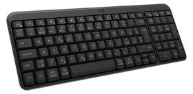 Klávesnica Logitech K250 CZ/SK layout 

 obrázok produktu 2 z 3