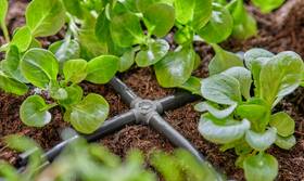 Spojka Gardena MicroDrip System 4,6 mm (10 ks) 

 obrázok produktu 3 z 5