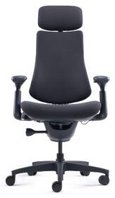 Ergonomická stolička LiberNovo Omni, 48 cm čierna

 obrázok produktu 1 z 8