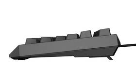 Klávesnica Genesis THOR 230, TKL, RGB, Outemu Red, CZ-SK layout čierna

 obrázok produktu 10 z 19