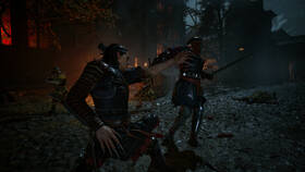 Hra Bandai Namco Games PlayStation 5 ESP: The Blood of Dawnwalker​ Collectors Edition 

 obrázok produktu 4 z 9