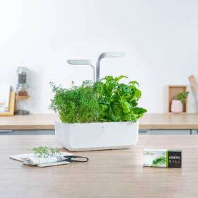 Semienka Véritable Lingot Kôpor - BIO 

 obrázok produktu 2 z 2