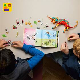 Stavebnica LEGO® DREAMZzz™ 71492 Mateo a jeho ohnivý chameleón 

 obrázok produktu 8 z 8