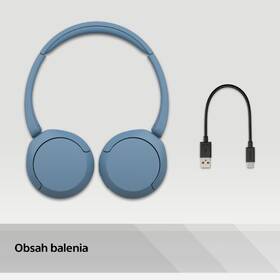Slúchadlá Sony WH-CH520 modrá

 obrázok produktu 13 z 13